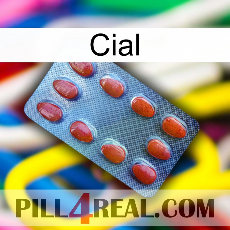 Cial 06